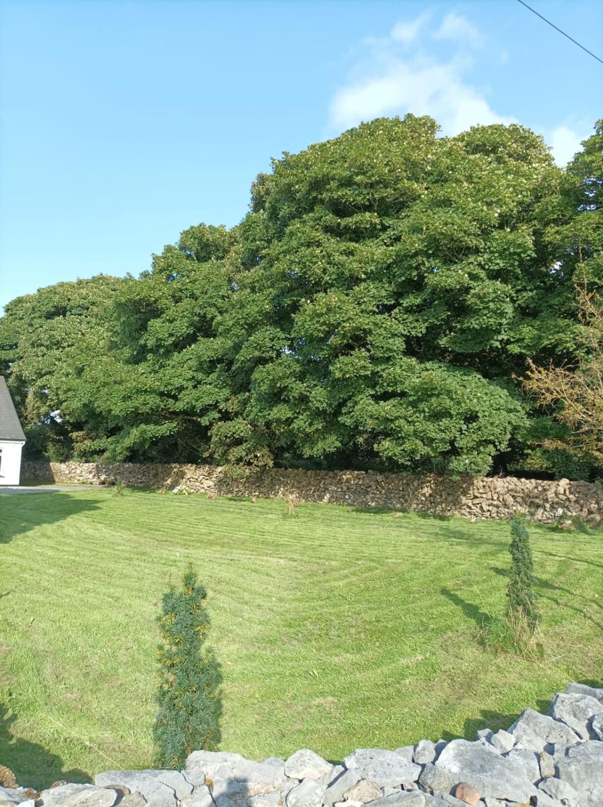 Mountain View Guesthouse Oughterard Exterior foto