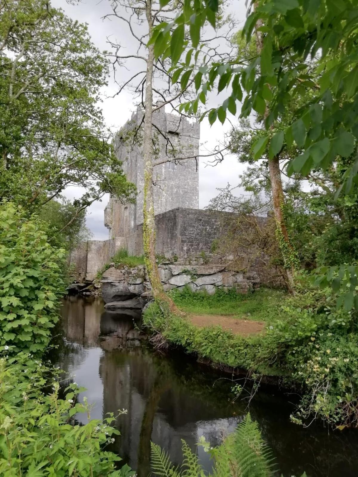 Mountain View Guesthouse Oughterard Exterior foto