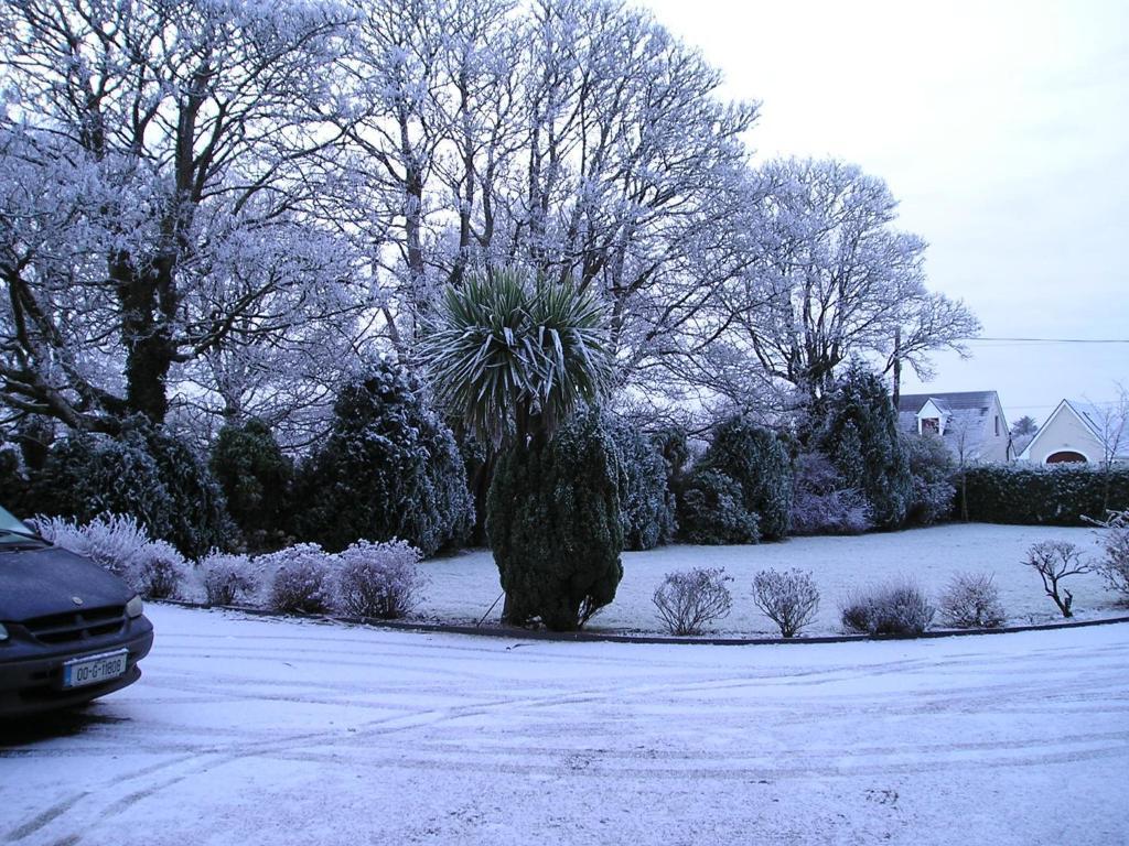 Mountain View Guesthouse Oughterard Exterior foto